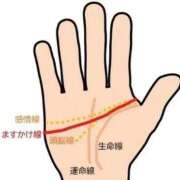 ヒメ日記 2026/06/25 14:54 投稿 めぐむ みつらん鉄道