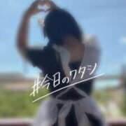 ヒメ日記 2026/07/09 12:24 投稿 めぐむ みつらん鉄道