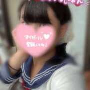 ヒメ日記 2026/08/12 12:54 投稿 めぐむ みつらん鉄道