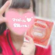 ヒメ日記 2026/08/20 12:11 投稿 めぐむ みつらん鉄道