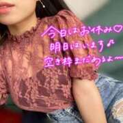 ヒメ日記 2026/08/24 12:44 投稿 めぐむ みつらん鉄道