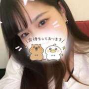 ヒメ日記 2025/05/19 21:51 投稿 ふたば【幼顔のF乳美女】 STELLA TOKYO－ステラトウキョウ－