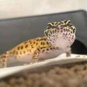 ヒメ日記 2025/05/22 19:47 投稿 ふたば【幼顔のF乳美女】 STELLA TOKYO－ステラトウキョウ－