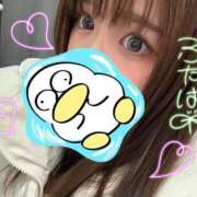 ヒメ日記 2025/05/22 21:26 投稿 ふたば【幼顔のF乳美女】 STELLA TOKYO－ステラトウキョウ－