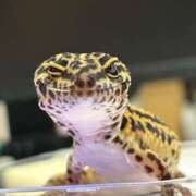 ヒメ日記 2025/06/07 10:36 投稿 ふたば【幼顔のF乳美女】 STELLA TOKYO－ステラトウキョウ－