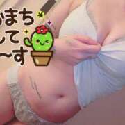 ヒメ日記 2025/06/17 15:04 投稿 ふたば【幼顔のF乳美女】 STELLA TOKYO－ステラトウキョウ－