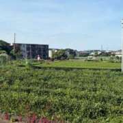 ヒメ日記 2025/06/22 19:31 投稿 ふたば【幼顔のF乳美女】 STELLA TOKYO－ステラトウキョウ－