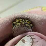 ヒメ日記 2025/10/01 22:07 投稿 ふたば【幼顔のF乳美女】 STELLA TOKYO－ステラトウキョウ－