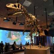 ヒメ日記 2025/10/05 21:36 投稿 ふたば【幼顔のF乳美女】 STELLA TOKYO－ステラトウキョウ－