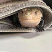 ヒメ日記 2026/01/17 07:04 投稿 ふたば【幼顔のF乳美女】 STELLA TOKYO－ステラトウキョウ－