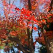 ヒメ日記 2026/01/17 09:03 投稿 ふたば【幼顔のF乳美女】 STELLA TOKYO－ステラトウキョウ－