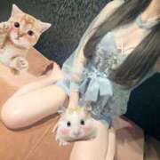 ヒメ日記 2025/06/25 09:03 投稿 らな アラモード