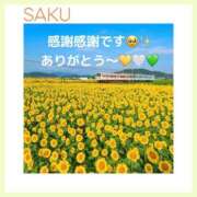 ヒメ日記 2025/07/14 07:30 投稿 咲ようこ 彩タマンサ（埼玉ハレ系）