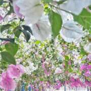 ヒメ日記 2026/02/26 15:05 投稿 咲ようこ 彩タマンサ（埼玉ハレ系）