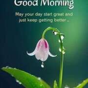 ヒメ日記 2025/12/14 09:52 投稿 米原詩織 五十路マダム愛されたい熟女たち岡山店（カサブランカグループ）