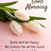 ヒメ日記 2026/03/14 09:38 投稿 米原詩織 五十路マダム愛されたい熟女たち岡山店（カサブランカグループ）