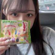 ヒメ日記 2025/06/21 00:00 投稿 ネル 【福岡デリヘル】20代・30代★博多で評判のお店はココです！