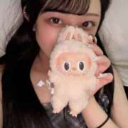 ヒメ日記 2025/09/22 12:30 投稿 ネル 【福岡デリヘル】20代・30代★博多で評判のお店はココです！