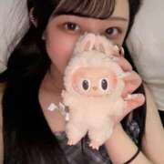 ヒメ日記 2026/02/14 13:37 投稿 ネル 【福岡デリヘル】20代・30代★博多で評判のお店はココです！