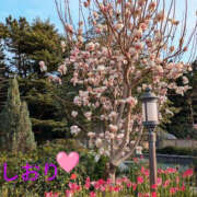 ヒメ日記 2025/05/19 19:30 投稿 しおり YESグループ　華女