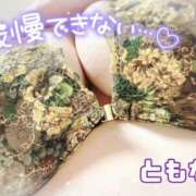 ヒメ日記 2025/05/12 12:56 投稿 池野友菜 五十路マダム愛されたい熟女たち 福山店(カサブランカグループ)