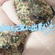 ヒメ日記 2025/05/30 13:34 投稿 池野友菜 五十路マダム愛されたい熟女たち 福山店(カサブランカグループ)