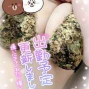 ヒメ日記 2025/09/17 17:16 投稿 池野友菜 五十路マダム愛されたい熟女たち 福山店(カサブランカグループ)