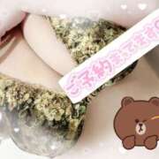 ヒメ日記 2025/09/30 13:28 投稿 池野友菜 五十路マダム愛されたい熟女たち 福山店(カサブランカグループ)