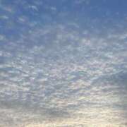 ヒメ日記 2025/05/17 20:31 投稿 ☆ありす☆18歳 ◆プラウディア◆AAA級素人娘在籍店