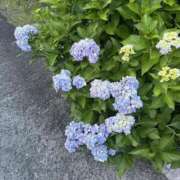 ヒメ日記 2025/07/01 19:23 投稿 ☆ありす☆18歳 ◆プラウディア◆AAA級素人娘在籍店