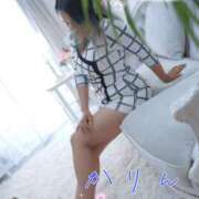 ヒメ日記 2025/05/29 11:28 投稿 かりん 千葉人妻花壇