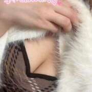 じゅり 本日もありがとうございました～ 横浜コスプレデビュー（シンデレラグループ）