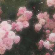 ヒメ日記 2025/06/03 21:06 投稿 えみり 千葉ミセスアロマ（ユメオト）