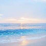 ヒメ日記 2025/06/14 12:44 投稿 えみり 千葉ミセスアロマ（ユメオト）