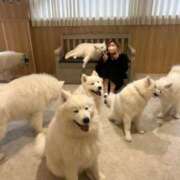 ヒメ日記 2025/06/07 23:20 投稿 なっち 丸妻 横浜本店