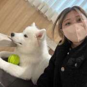 ヒメ日記 2025/06/09 23:24 投稿 なっち 丸妻 横浜本店