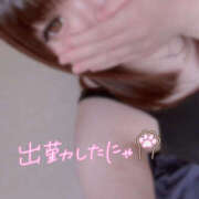 ヒメ日記 2025/05/29 10:37 投稿 ふたば 栃木♂風俗の神様宇都宮店