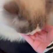 ヒメ日記 2025/09/07 19:57 投稿 ふたば 栃木♂風俗の神様宇都宮店