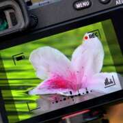 ヒメ日記 2025/05/29 23:27 投稿 鴨打 MadameRest(マダムレスト)