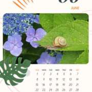 ヒメ日記 2025/06/03 14:48 投稿 鴨打 MadameRest(マダムレスト)