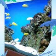 ヒメ日記 2025/07/17 09:18 投稿 鴨打 MadameRest(マダムレスト)