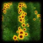 ヒメ日記 2025/08/05 08:14 投稿 鴨打 MadameRest(マダムレスト)