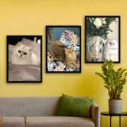 ヒメ日記 2025/08/28 07:34 投稿 鴨打 MadameRest(マダムレスト)