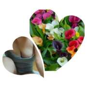 ヒメ日記 2025/09/02 12:50 投稿 鴨打 MadameRest(マダムレスト)