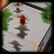 ヒメ日記 2025/09/02 19:53 投稿 鴨打 MadameRest(マダムレスト)