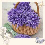 ヒメ日記 2025/09/04 14:22 投稿 鴨打 MadameRest(マダムレスト)