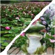 ヒメ日記 2025/09/05 14:37 投稿 鴨打 MadameRest(マダムレスト)