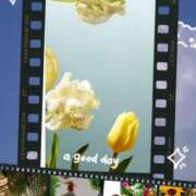 ヒメ日記 2025/09/06 06:32 投稿 鴨打 MadameRest(マダムレスト)