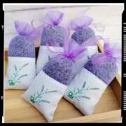 ヒメ日記 2025/09/07 09:02 投稿 鴨打 MadameRest(マダムレスト)