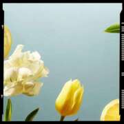 ヒメ日記 2025/09/15 11:11 投稿 鴨打 MadameRest(マダムレスト)